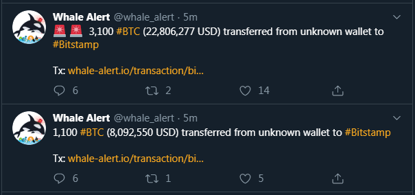 btc whale - Bitcoin Cüzdanlarında Korkutan Hareket