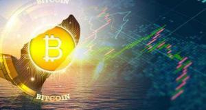 “Bitcoin Balina” Terimi Nedir? Bitcoin Balinaları Neyi Hedefler?