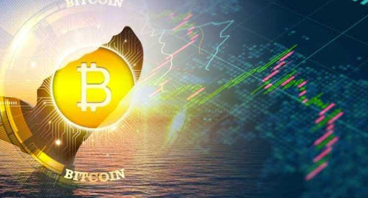 bitcoin balina (whale) nedir