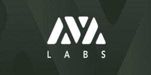 AVA Labs Son Testnet’inde 2 Milyon Token Dağıtıyor!