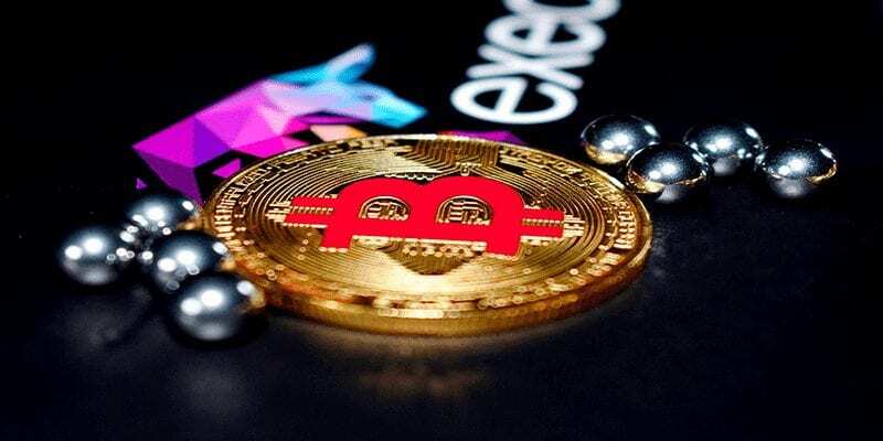 Halvinge 5 Kala Bitcoin Balinaların Sayısında Sert Artış!