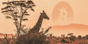 Afrika’da Bitcoin Alım-Satım Hacmi Rekor Kırdı! 2017’den Fazla