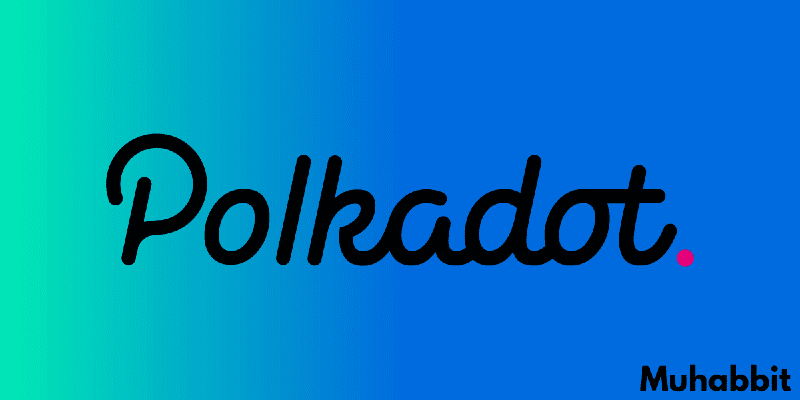 Polkadot Logotype color 2 - Revolut'a Learn and Earn (Öğren ve Kazan) Geliyor!