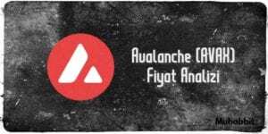Avalanche AVAX Fiyat Analizi 02.06.2021