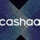 Cashaa’dan, Hindistan’da Kripto Para Dostu İnternet Bankası!