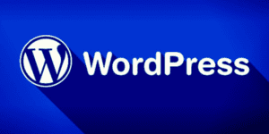 WordPress Yeni Bir Eklenti İle Telif Haklarını Koruyacak