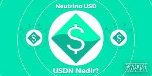 Neutrino USD (USDN) Nedir?