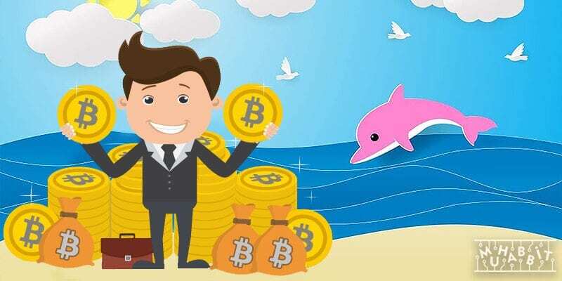 Bitcoin Balinalarının Sayısı 2020’de Yüzde 9 Arttı!