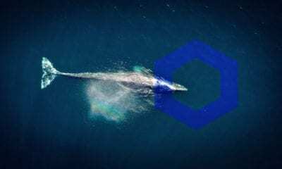 Yapılan Araştırmalara Göre Chainlink Balinaları Çoğalıyor!