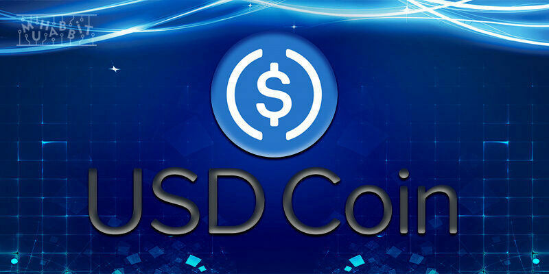 Stablecoin USDC 5 Milyar $ Barajını Aştı!