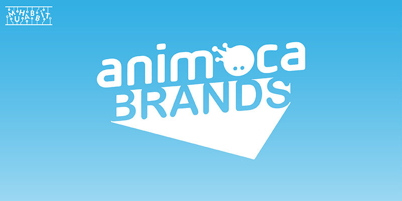 Animoca Brands Polygon İle Ortaklık Kuruyor!