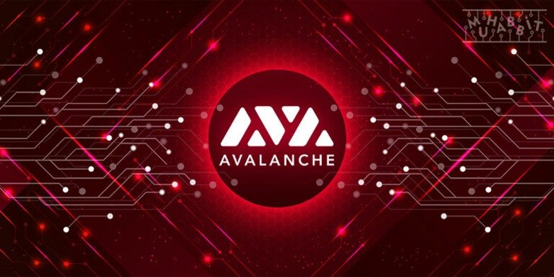 Avalanche 230 Milyon $’lık Yatırım Aldığını Duyurdu!