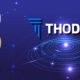 SON DAKİKA! Thodex CEO’suna Kırmızı Bülten Çıkarıldı!