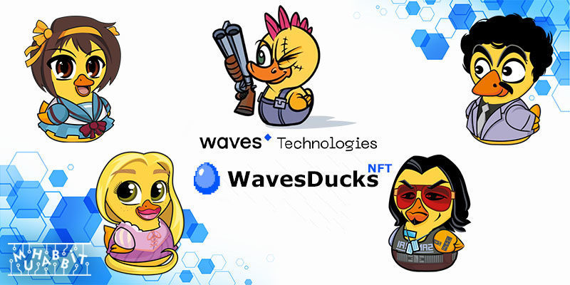 Waves Ducks Oyunu İçinde Yeni Bir NFT Pazarı Başlıyor!