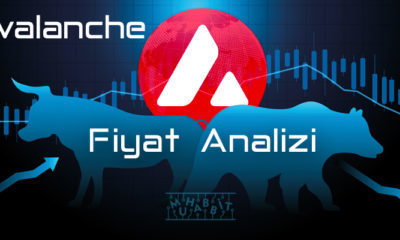 Avalanche AVAX Fiyat Analizi 15.07.2021