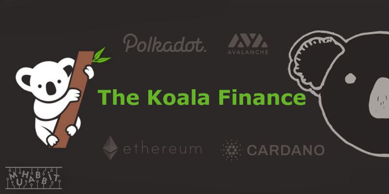 koala finance