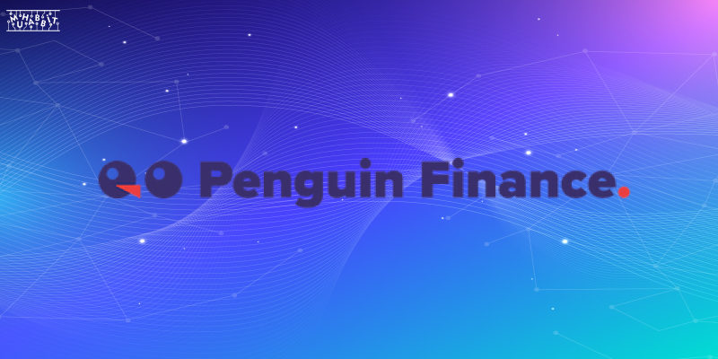 Penguin Finance Yeni Ürününü Tanıttı!