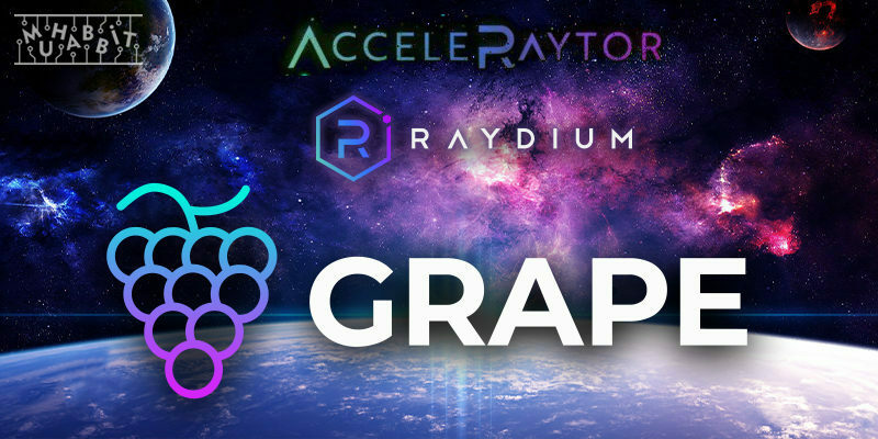 Raydium GRAPE Satışını Gerçekleştirecek! Tüm Detaylar!