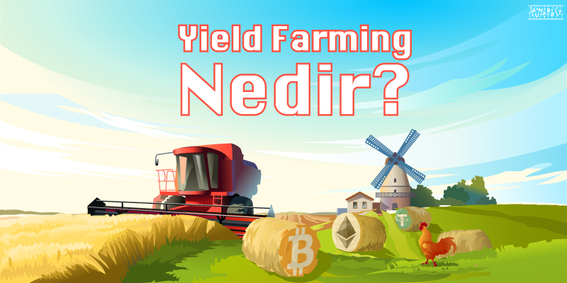 Yield Farming Nedir Muhabbit - Yield Farming Nedir? Staking Nedir? Hangisi Daha Avantajlı?