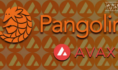 Pangolin, Avalanche Rush Programına Dahil Edildi! PNG Stake Edenler AVAX Kazanacak!