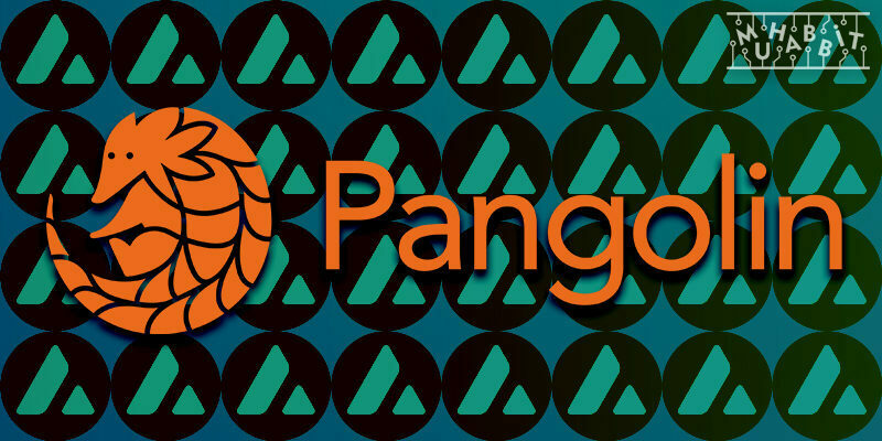 Pangolin OIN Finance ile Ortaklık Kuruyor!