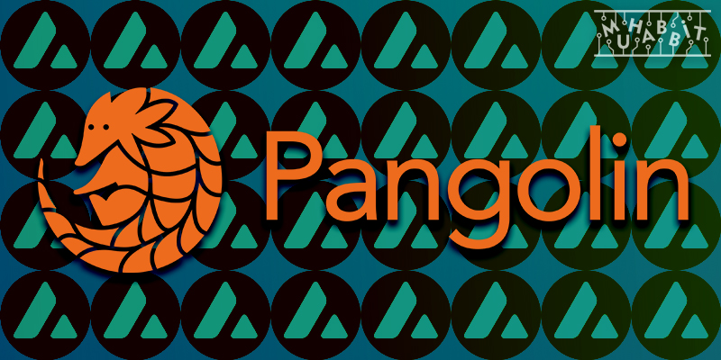 pangolin avax - Pangolin, DeFi Kingdoms İle İş Birliği Sağladı!
