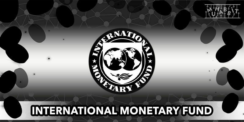 IMF Stablecoinlerin Küresel Finans için Riskli Olduğunu Düşünüyor!