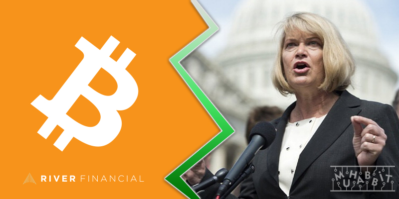 Amerikan Senatör Lummis 50-100 Bin Dolar Arasında Bitcoin Alımı Yapmış!