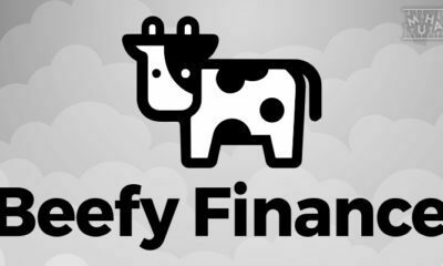 Beefy Finance Nedir? Özellikleri Nelerdir?