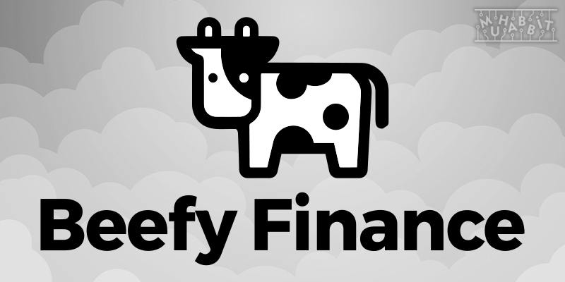 Beefy Finance Nedir? Özellikleri Nelerdir?
