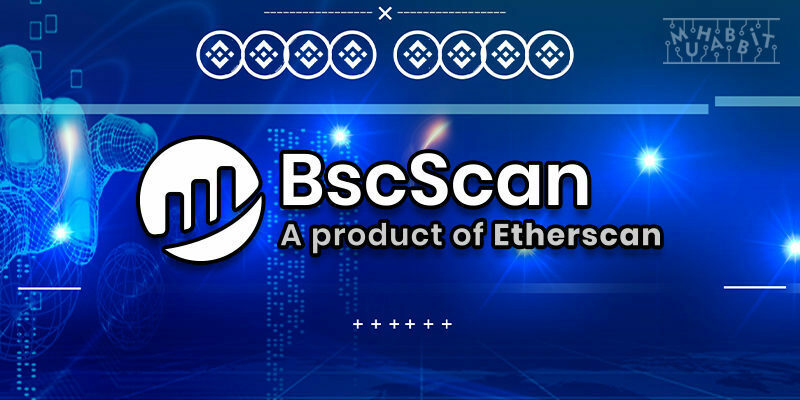 BscScan Nedir? Nasıl Kullanılır?