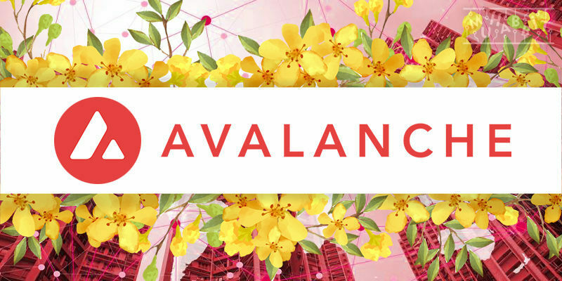 Avalanche, Apricot Güncellemesinin Beşinci Aşamasını Duyurdu!
