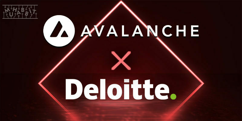 Deloitte, Yeni Acil Durum Kurtarma Platformu İçin Ava Labs İle Ortaklık Kurdu!