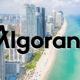 Algorand-Miami-Muhabbit (1)