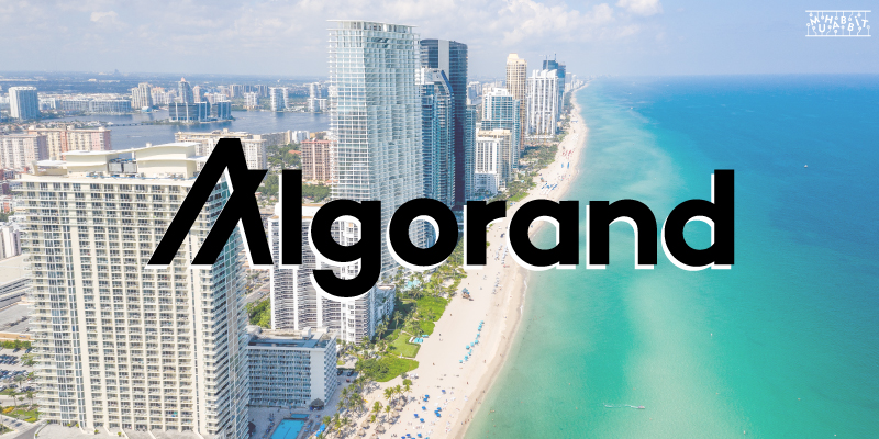 Algorand Miami Muhabbit 1 - FIFA Dünya Kupası'nın İlk Blok Zinciri Sponsoru: Algorand!