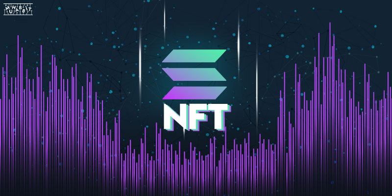 Solana NFT Muhabbit - Ethereum Tabanlı NFT Koleksiyonlarının Sayısı, 2022 Yılında Yüzde 100'den Fazla Arttı!