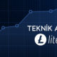 Litecoin LTC Fiyat Analizi 13.08.2022