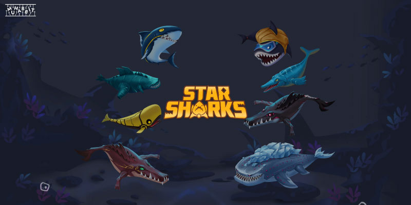 StarSharks Yeni “Elçilik” Programını Duyurdu!