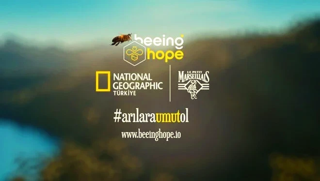 arilar - Avalanche Ağındaki Türkiye’nin ilk NFT Multidisipliner Sanat Koleksiyonu: Beeing Hope - Arılara Umut Ol