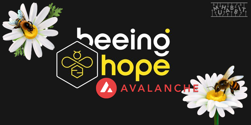 Avalanche Ağındaki Türkiye’nin ilk NFT Multidisipliner Sanat Koleksiyonu: Beeing Hope – Arılara Umut Ol