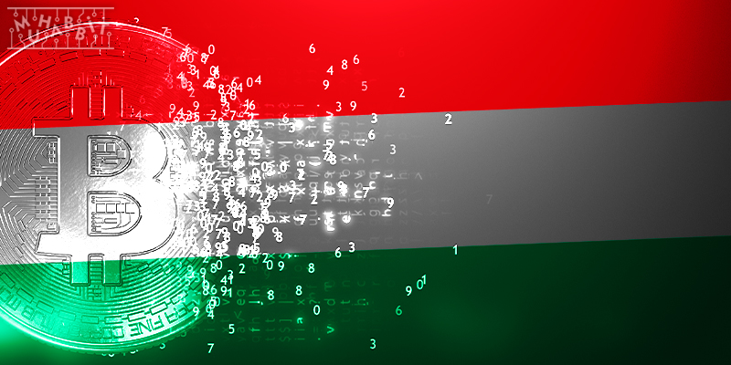Macaristan Merkez Bankası Başkanı: Kripto Paraların Risklerine Karşı Ortak Hareket Etmeliyiz!