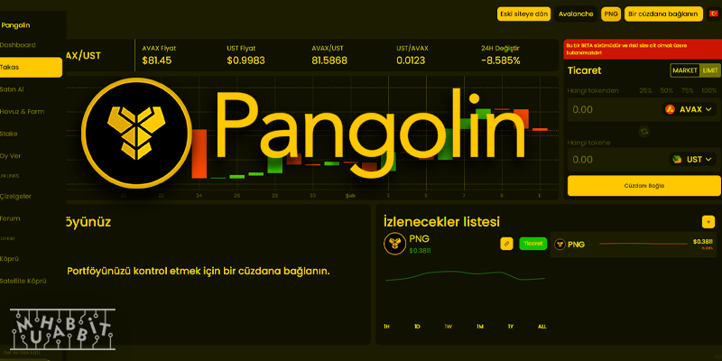 Pangolin’de Limit Emirleri İle Alım Satım Dönemi Başladı!