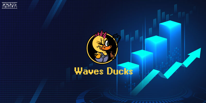 Duck Wars Bir Dizi Yeni Güncellemeyle Oyun Zevkini Katlıyor