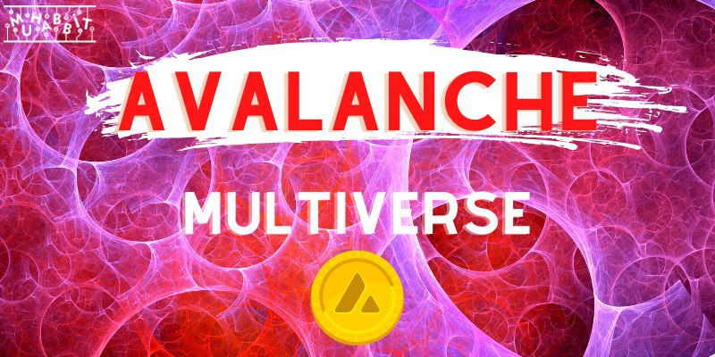 Avalanche Multiverse Duyuruldu! 290 Milyon Dolarlık Fon, Subnet’lerin Büyümesi için Kullanılacak!