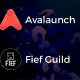 avalaunch fief guild