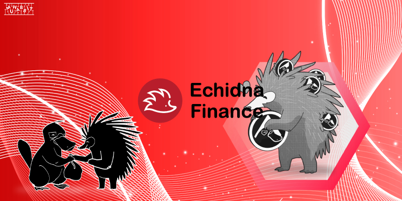 Echidna 2.0 dApp Yeni Özellikleriyle Kullanıcılara Tanıtıldı