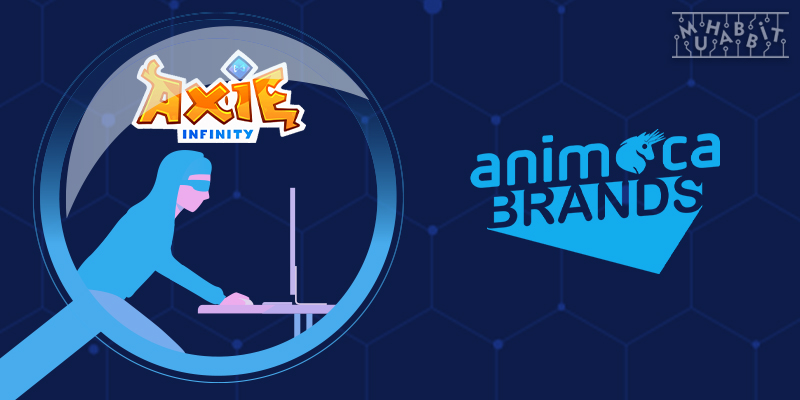 Animoca Brands, 622 Milyon Dolarlık Saldırıya Rağmen Neden Hala Axie Infinity’ye Yatırım Yapıyor?
