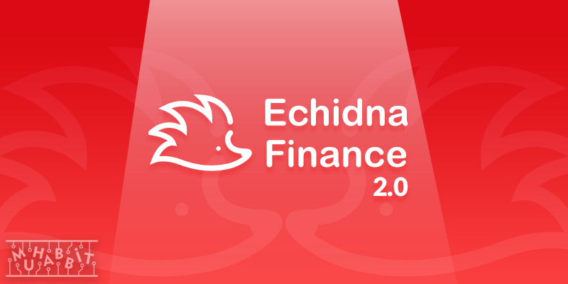 echidna kapak - Echidna Finance ve Avatar Ventures Arasında Stratejik Partnerlik Kuruldu!
