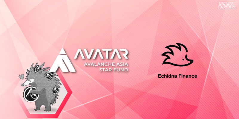 Echidna Finance ve Avatar Ventures Arasında Stratejik Partnerlik Kuruldu!