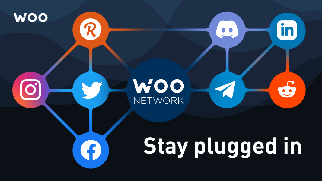 woo 1067x600 - WOO X'e Türkçe, Rusça, Portekizce ve Ukraynaca Dil Destekleri Geldi!